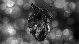 The Weeknd - Open hearts 𝕤𝕝𝕠𝕨𝕖𝕕 + 𝕓𝕒𝕤𝕤 𝕓𝕠𝕠𝕤𝕥𝕖𝕕