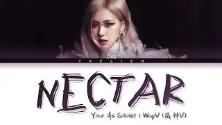You As Soloist - '月之迷 Nectar' By WayV (威神V) (Color Coded Lyrics)