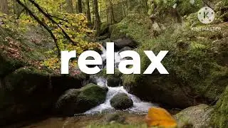 relaxing music #carbuddy