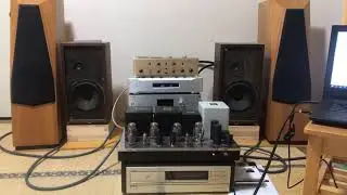 D&acirc;y Nguồn Oyaide tunami V2