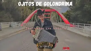 Jesus el Ranchero de Chile - Ojitos de Golondrina