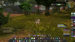 Ganking horde in Stranglethorn Vale   Warmane Icecrown revenge