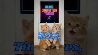 Cute Cats Try K-Pop Dances Tiny Paws, Big Stage Energy!