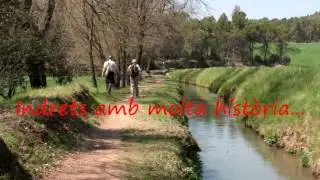 Bages