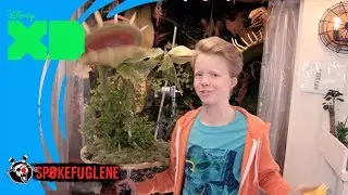 Sp&oslash;kefuglene | Sp&oslash;ken i drivhuset - Disney XD Norge