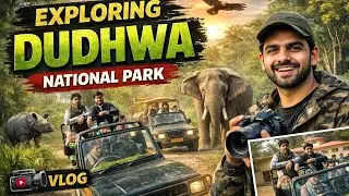 Dudhwa National Park / Dudhwa Wildlife sanctuary // Jungle Safari 