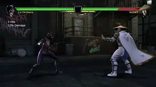 Mortal Kombat vs DC Universe: Raging Cat on all characters