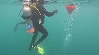 Advanced open water class with Sea Colony Sports