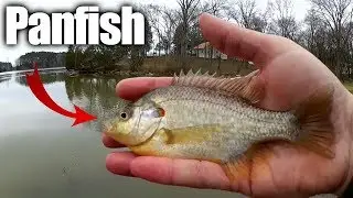 Float Fishing For Bluegill and Sunfish - Open Water Winter Panfish