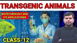 Transgenic animals class 12 - Biotechnology and Its Applications || Chapter-12 | Biology