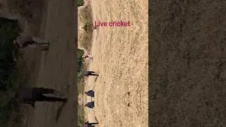 My style my video #Live cricket #nareshahlawat6650 #viralvideo