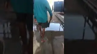 Guyanese Fights Fineman Vs Fatman