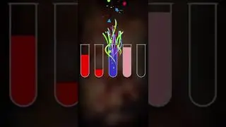 💧Sort it now! Best water sort puzzle games!