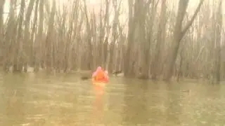 Paddling Minesing Swamp