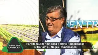Agricultura la raport - Semtest Craiova P3 14.10.2019