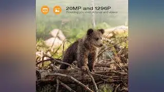 Trail Camera WiFi 20MP 1296P with Remote Control Game Camera IP66 Waterproof, 3 review