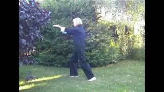 Tai Chi Kurzform nach Cheng Man Ching Teil I