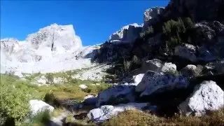 Arriving At The Meadows - Grand Teton National Park