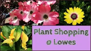 🌷SPRING IS HERE: Check Out Lowes Outdoor Garden Tour🌷