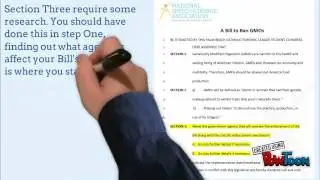 How to Make a Bill for Congressional Debate