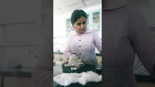 Dissection #phd #phdlife #zoology #sciencelab #experiment #invivo #science #biologyclass #lab #csir