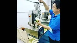 Young Coconut Trimming Machine COM90YD2