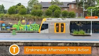 Sydney Trains Vlog 1704: Erskineville Afternoon Peak Action