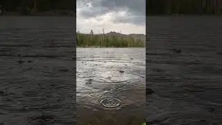 Gotta love alpine thunderstorms! #thunderstorm #thunder #storm #wilderness #outdoors #camping #rain