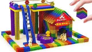 Challenge To Build A Dog House Outdoor Staircase From Magnetic Balls | ASMR Videos #001