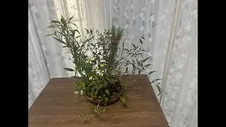 投稿862　０蘭Nature art