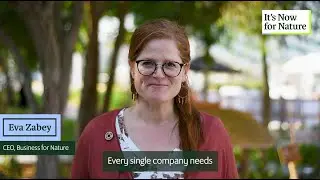 Why every business needs a nature strategy