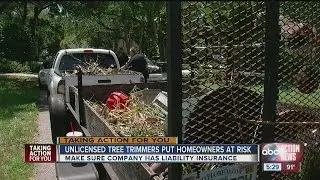Protecting yourself against unlicensed tree trimmers