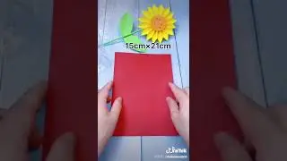 Chinese New Year Lantern, Mid Autumn Festival Ornaments DIY