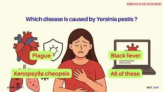 Human Health and Disease MCQs