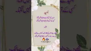 Umeed💔❤️❤️❤️||by urdu poetry official||💯💯 #hearttouching #toppoetrychennel #deeplinespoetry#urdu