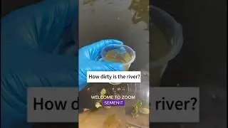 Exploring the Hidden Microcosm: Incredible 1000x Zoom of River Water #shorts  #mikroskop #zoom1000x