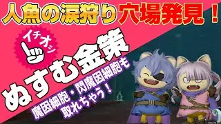 【ドラクエ10】人魚の涙狩りに最適穴場を発見！ぬすむ金策【ドラクエ10オンライン】
