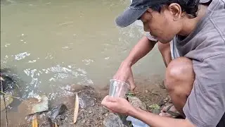 Ternyata gacor juga pake umpan satu ini #microfishing #foryou