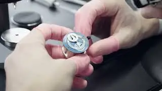 Regulator Inception : Une ic&ocirc;ne est n&eacute;e