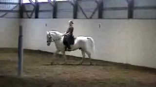Favory Ilka I   