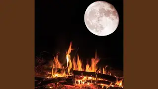 Harmony in Firelight's Glow