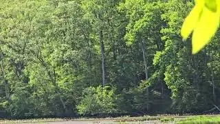 Crow's Nest Preserve (2)