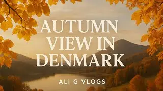 Autumn View in Denmark 🍁 Beautiful Fall Colors & Nature Scenery Relaxing Travel Vlog by Ali G Vlogs