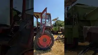 Жнива ячменю class cosmos #agronomia #claas #farming #агротехнологии