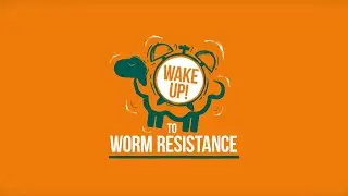 Zolvix Sheep Drench Oral Solution - WAKE UP TO WORM RESISTANCE!