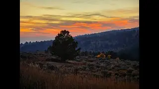 Escape to your own mountain paradise! 4 lots available. Mountain Living Starts Here!