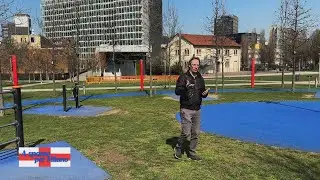 BAM, LA BIBLIOTECA DEGLI ALBERI 25/04/2025