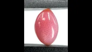5.10 ct. Natural Pink Conch Pearl with Gem Flame Patterning
