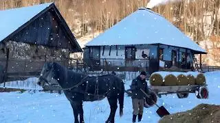 Winter Survival in a Remote Carpathian Village with Wood Oven Cooking