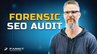 FANNIT Forensic SEO Analysis and Landing Pages